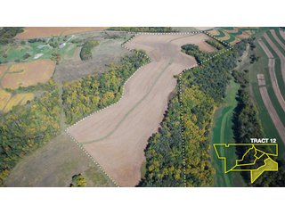 Property photo 40 - 1,153 +/- Acres offered in 15 TractsLAND AUCTION